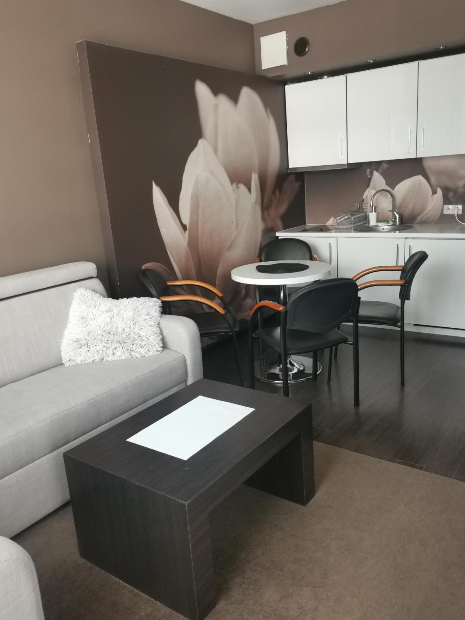 Apartament Prywatny Salon Z Aneksem Kuchennym I Sypialnia W Hotelu Diva كولوبرزيغ الغرفة الصورة